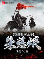 签到明末太子朱慈烺什么小说